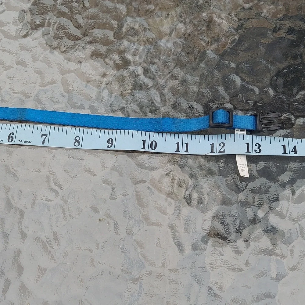 Small Blue Cat/Dog Collar